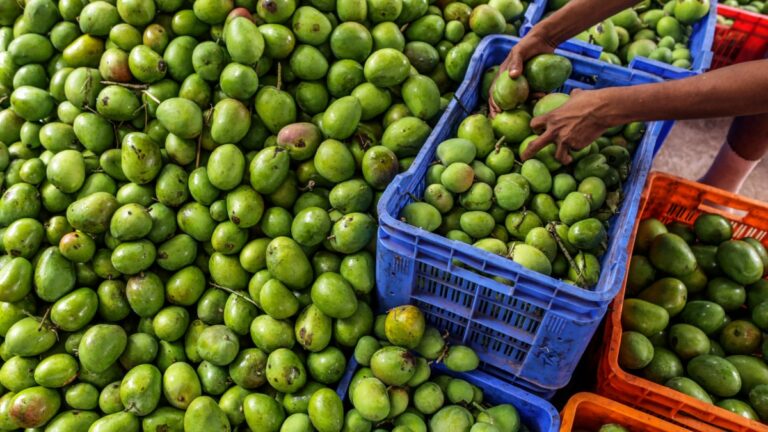 fruit consumption india getty