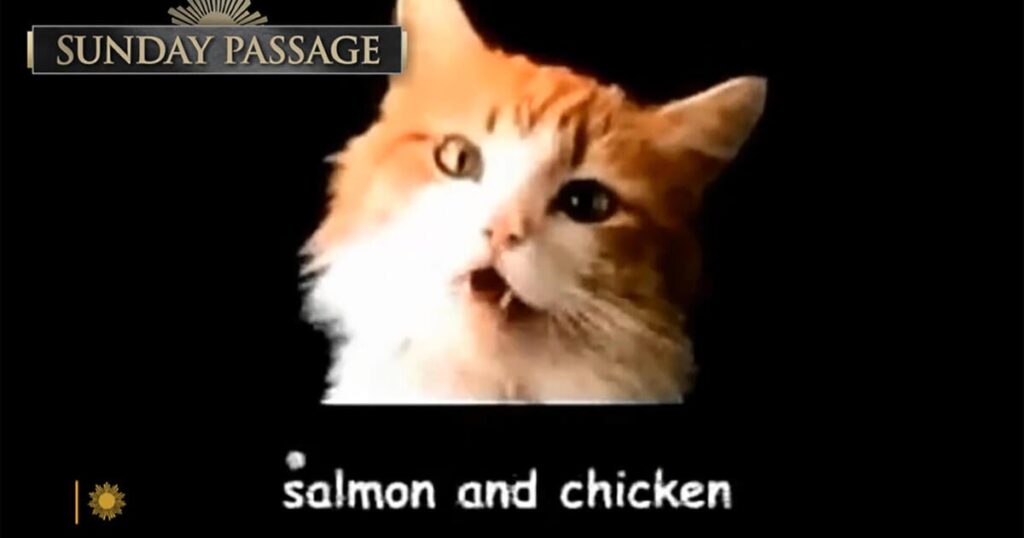 passage meow mix commercial 1920