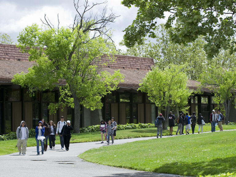 Community college students
