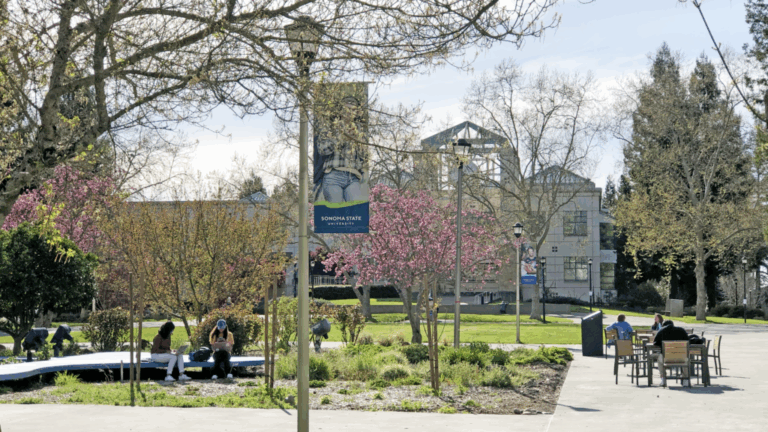 Sonoma State 1024x576